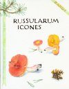 Russularum Icones: Eine Täublingsikonografie (2-Volume Set) [German / French]