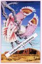 Leadbeater's Cockatoos Poster