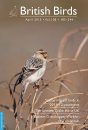 British Birds Report on Scarce Migrant Birds in Britain in 2011–2012: Passerines