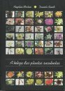 A Beleza das Plantas Suculentas [The Beauty of Succulent Plants]