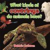 What Kind of Coverings do Animals Have?