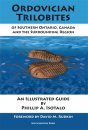 Ordovician Trilobites Of Southern Ontario, Canada And The Surrounding Region