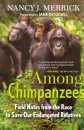 Among Chimpanzees