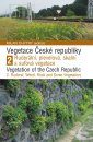 Vegetation of the Czech Republic, Volume 2 / Vegetace České Republiky 2