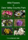Wild Flowers of Dare Valley Country Park