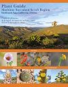 Plant Guide: Maritime Succulent Scrub Region, Northwest Baja California, Mexico / Guía de Plantas de la Región del Matorral Rosetófilo Castero Noroests de Baja California, México