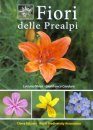 Fiori delle Prealpi [Flowers of the Prealps]