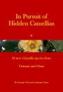 In Pursuit of Hidden Camellias