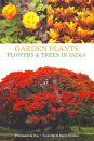 Garden Plants: Flowers & Trees in India