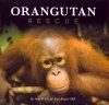 Orangutan Rescue