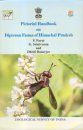 Pictorial Handbook on Dipteran Fauna of Chamba District Himachal Pradesh