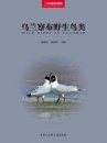 Wild Birds in Ulanqab [Chinese]