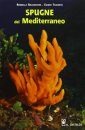 Spugne del Mediterraneo: Guida al Riconoscimento [Sponges of the Mediterranean: Identification Guide]