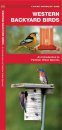 Western Backyard Birds, An Introduction to Familiar Urban Species