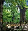 Baumwelten und ihre Geschichten [The World of Trees and its Stories]