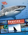Requins: Un Monde Fascinant [Sharks: A Fascinating World]