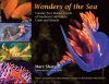 Wonders of the Sea, Volume 2: Marine Jewels of Southern California's Coast and Islands