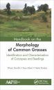 Handbook on the Morphology of Common Grasses [of India]