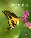 Lepidoptera: Borboletas e Mariposas do Brasil [Lepidoptera: Butterflies and Moths of Brazil]