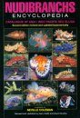 Nudibranchs Encyclopedia