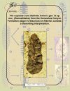 The Cupulate Cone Bethella lowenii, gen. et sp. nov., (Bennettitales) from the Horseshoe Canyon Formation (Upper Cretaceous) of Alberta, Canada