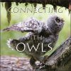 Connecting with Owls - DVD (All Regions)