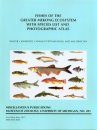Fishes of the Greater Mekong Ecosystem with Species List and Photographic Atlas