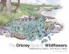 The Orkney Book of Wildflowers