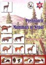 Prehistoric Mammals of Nepal