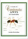 A Guide to Camponotus Ants of Australia