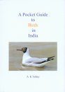 A Pocket Guide to Birds in India