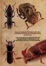 Type Catalogue of Darkling Beetles (Tenebrionidae) Preserved in the Hungarian Natural History Museum / A Magyar Természettudományi Múzeum Gyászbogártípusainak (Tenebrionidae) Katalógusa