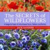 The Secrets of Wildflowers