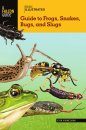 Basic Illustrated Guide to Frogs, Snakes, Bugs, and Slugs