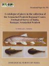 A Catalogue of Pisces in the Collection of the Arunachal Pradesh Regional Centre, Zoological Survey of India, Itanagar, Arunachal Pradesh