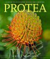 Protea: A Guide to Cultivated Species and Varieties