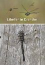 Libellen in Drenthe [Dragonflies of Drenthe]