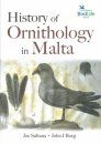 History Of Ornithology In Malta