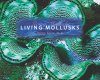 Living Mollusks