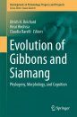 Evolution of Gibbons and Siamang