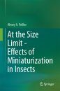 At the Size Limit – Effects of Miniaturization in Insects