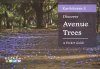 Discover Avenue Trees [of Bangalore]