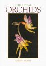 Terrestrial Orchids