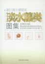 Most Common Freshwater Algae Images of Zhejiang Province (Drinking Water Sources) [Chinese]