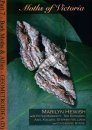 Moths of Victoria, Part 7: Bark Moths and Allies – Geometridae (D)