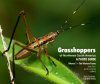 Grasshoppers of Northwest South America - A Photo Guide, Volume 1: The Western Fauna (North Chocó, Central and Western Cordillera)