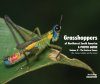 Grasshoppers of Northwest South America - A Photo Guide, Volume 2: The Eastern Fauna (The Eastern Cordillera and the Llanos)