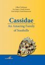 Cassidae