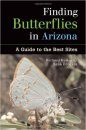 Finding Butterflies in Arizona