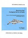 Review of the Flying Fish Family Exocoetidae in the Indian Waters